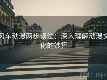 风车动漫两步读法：深入理解动漫文化的妙招