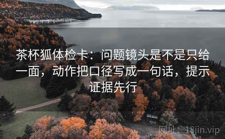茶杯狐体检卡：问题镜头是不是只给一面，动作把口径写成一句话，提示证据先行
