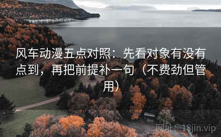 风车动漫五点对照：先看对象有没有点到，再把前提补一句（不费劲但管用）